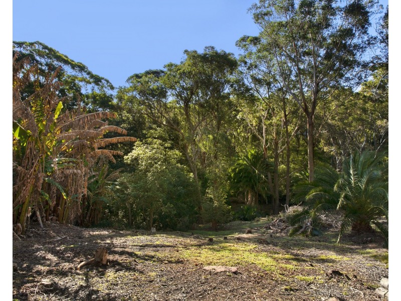 43 Johnston Crescent, Lane Cove NSW 2066