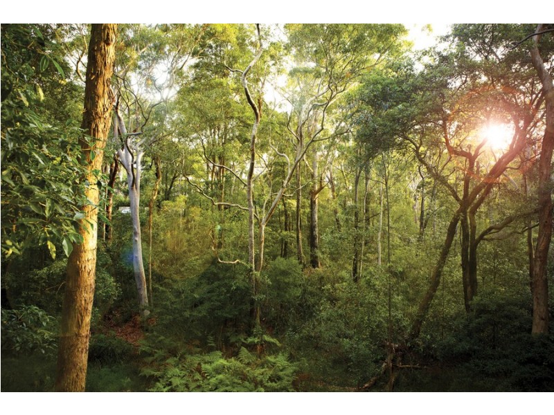 202/76 Gordon Crescent, Lane Cove NSW 2066