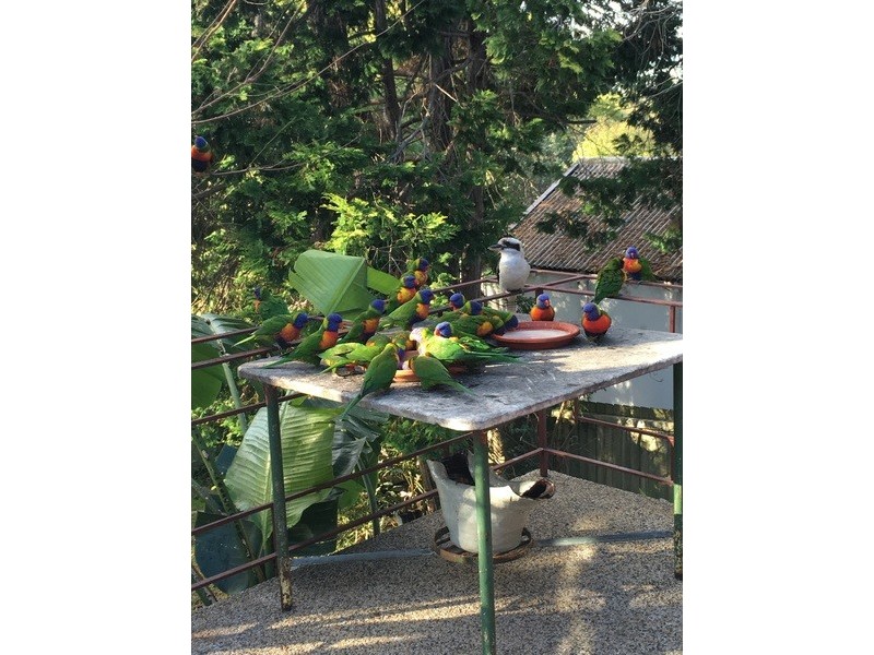 4 Cope Street, Lane Cove NSW 2066