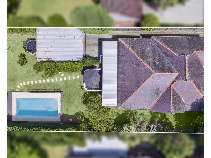 7 Archbold Road, Roseville NSW 2069