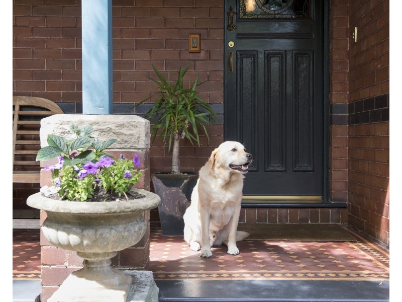 7 Archbold Road, Roseville NSW 2069