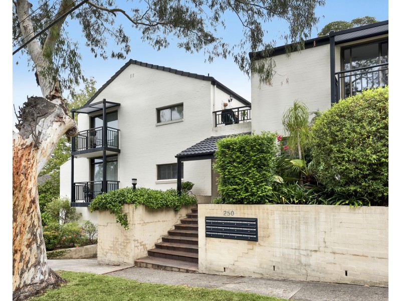 11/250 Longueville Road, Lane Cove NSW 2066
