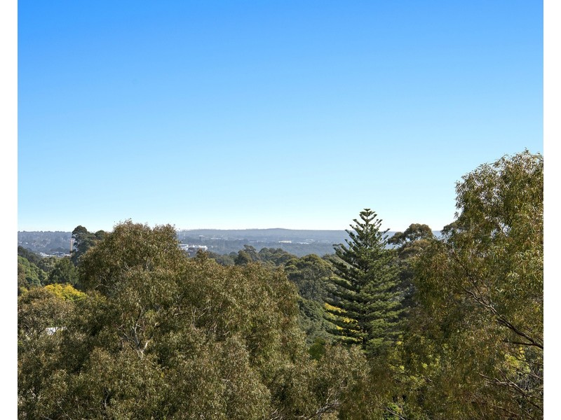 20/11-13 Longueville Road, Lane Cove NSW 2066