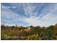 12 Hazelbank Road, Wollstonecraft NSW 2065