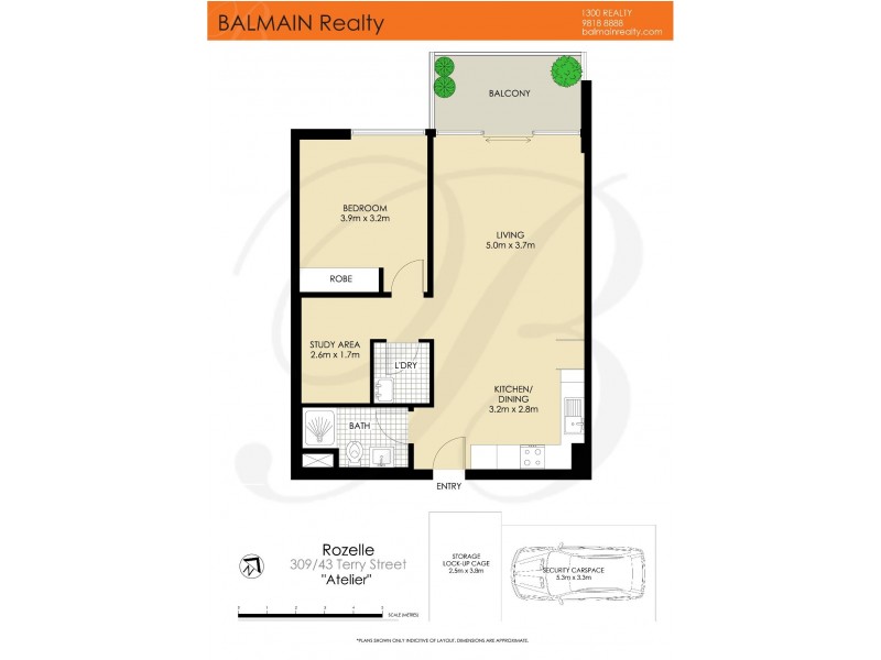 43 Terry Street, Rozelle NSW 2039 Floorplan