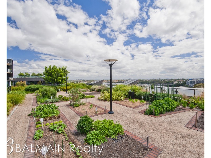 312/3 Nagurra Place, Rozelle NSW 2039