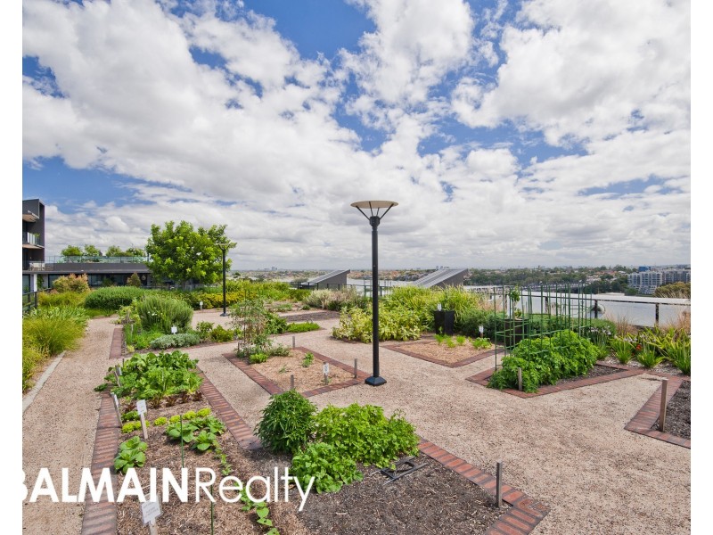 Level 1/124 Terry Street, Rozelle NSW 2039