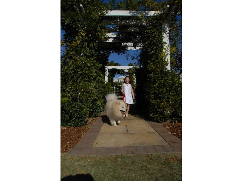 Unit 67/17 Orchards Avenue, Breakfast Point NSW 2137