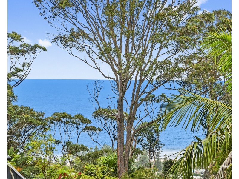 9 Raymond Road, Bilgola Plateau NSW 2107