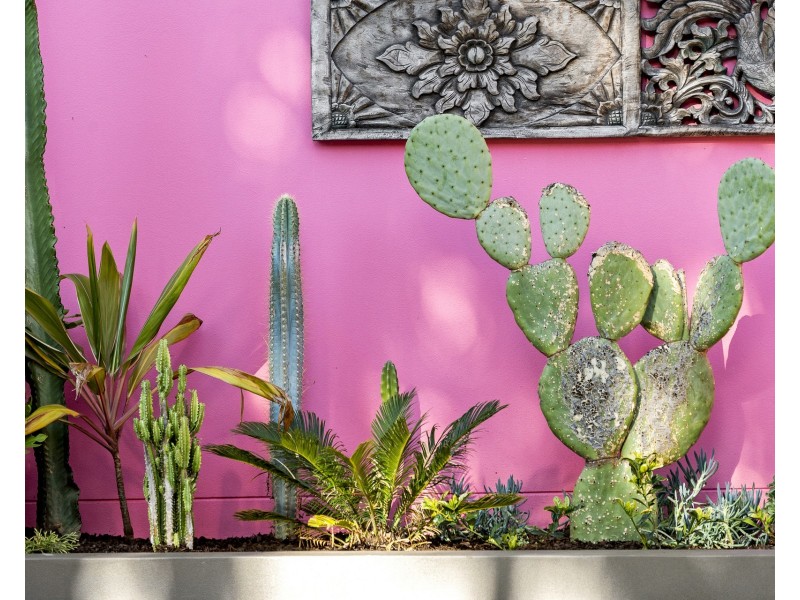 12 Crescent Road, Mona Vale NSW 2103