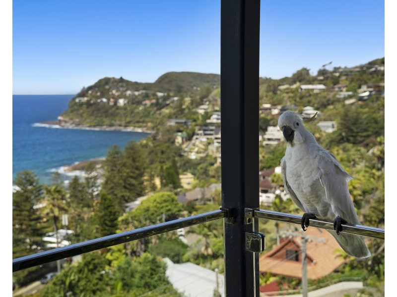 22 Morella Road, Whale Beach NSW 2107