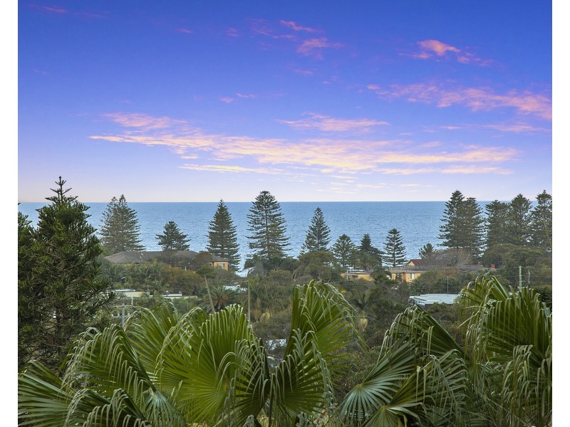 26 Grandview Drive, Newport NSW 2106
