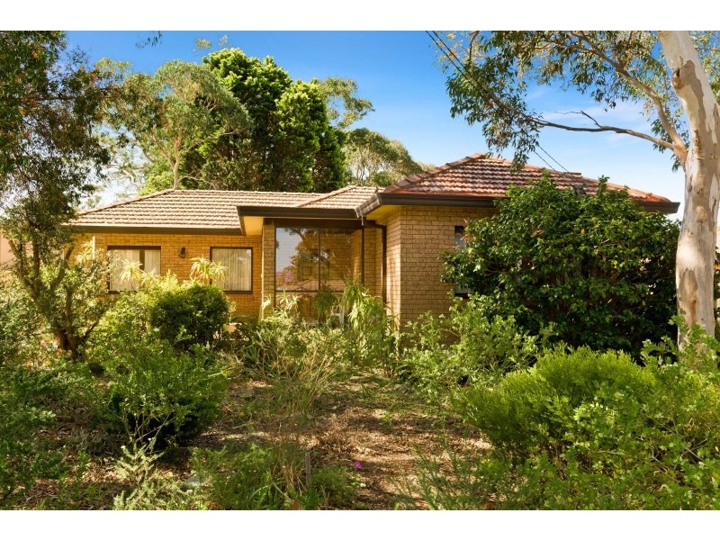 29 Northcote Avenue, Caringbah South NSW 2229