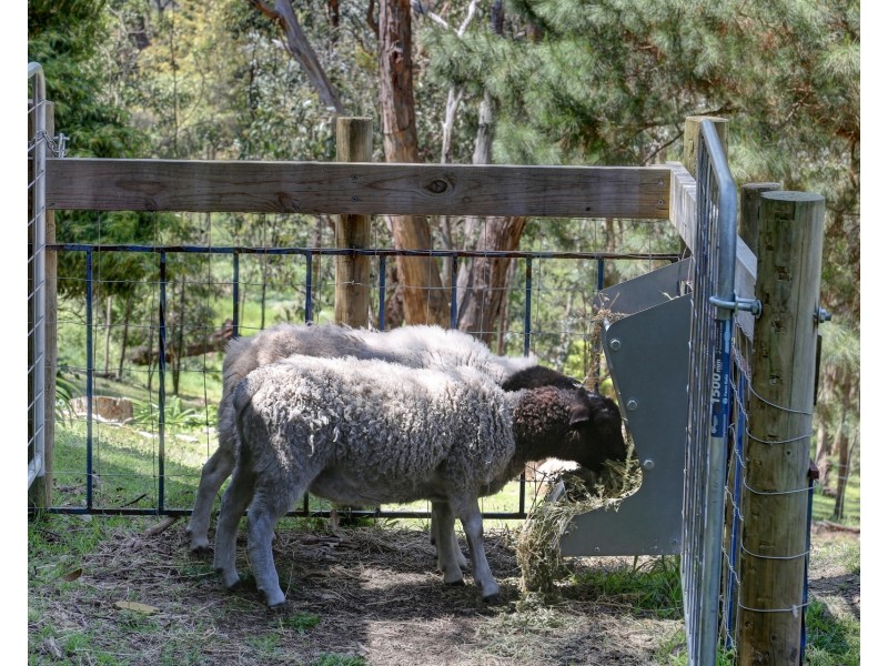 8 Beverley Road, Aldgate SA 5154