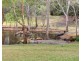 5 Allumba Drive, Ironbank SA 5153