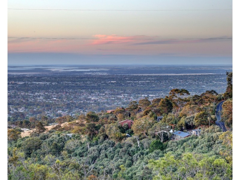 73 Woodland Way, Teringie SA 5072