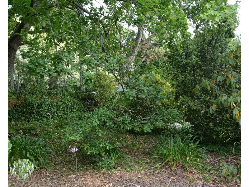 44A Avenue Road, Stirling SA 5152