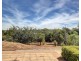 9 Dalmeny Drive, Mount Barker SA 5251