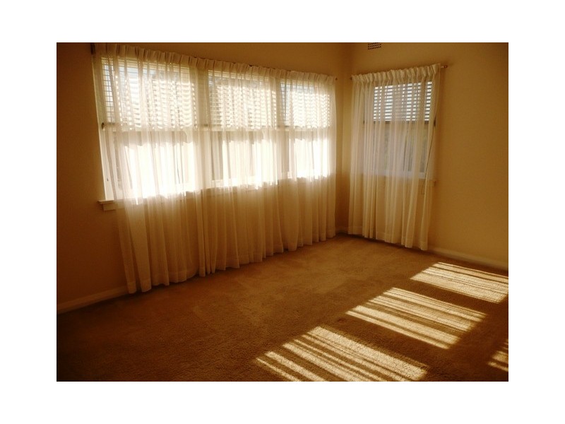 137 Springdale Road, East Killara NSW 2071