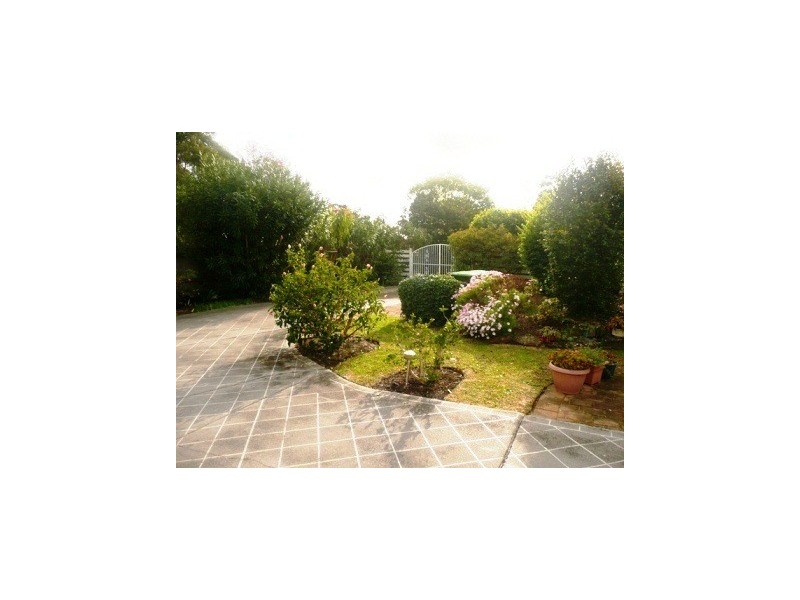 125 Blackbutts Road, Frenchs Forest NSW 2086