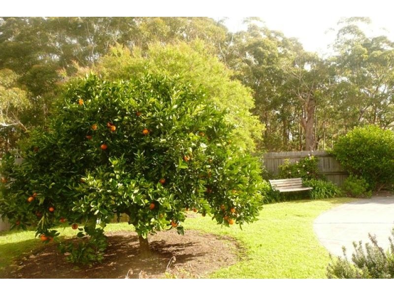 125 Blackbutts Road, Frenchs Forest NSW 2086