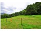 Lot 1,  Williams Road, Saddleback Mountain NSW 2533