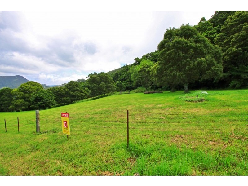 Lot 1,  Williams Road, Saddleback Mountain NSW 2533