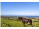 Lot 5 Weir Street, Kiama NSW 2533