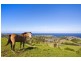 Lot 5 Weir Street, Kiama NSW 2533