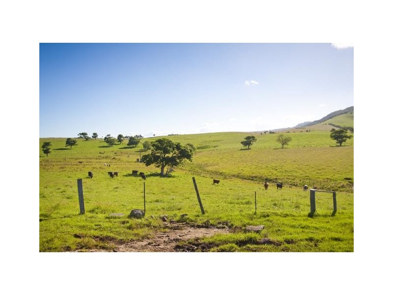 Lot 5 Weir Street, Kiama NSW 2533