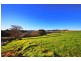 Unit 1/3 Wells Street, Gerringong NSW 2534