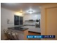 13 Curt Street, Ashfield NSW 2131