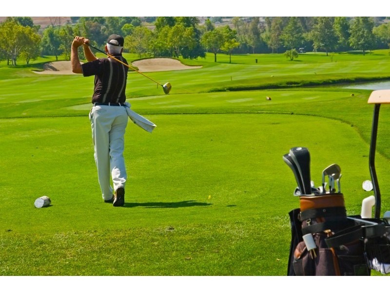 25 Rosemeadow Drive, Cabarita NSW 2137