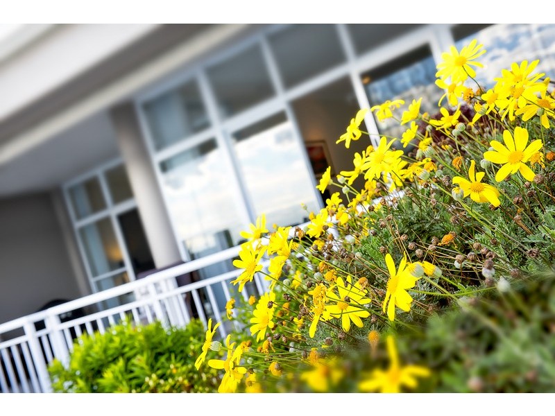 3/24 Hilly Street, Mortlake NSW 2137