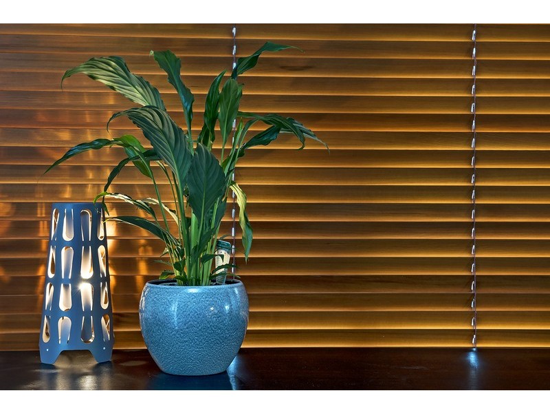 7/253 Concord Road, Concord West NSW 2138