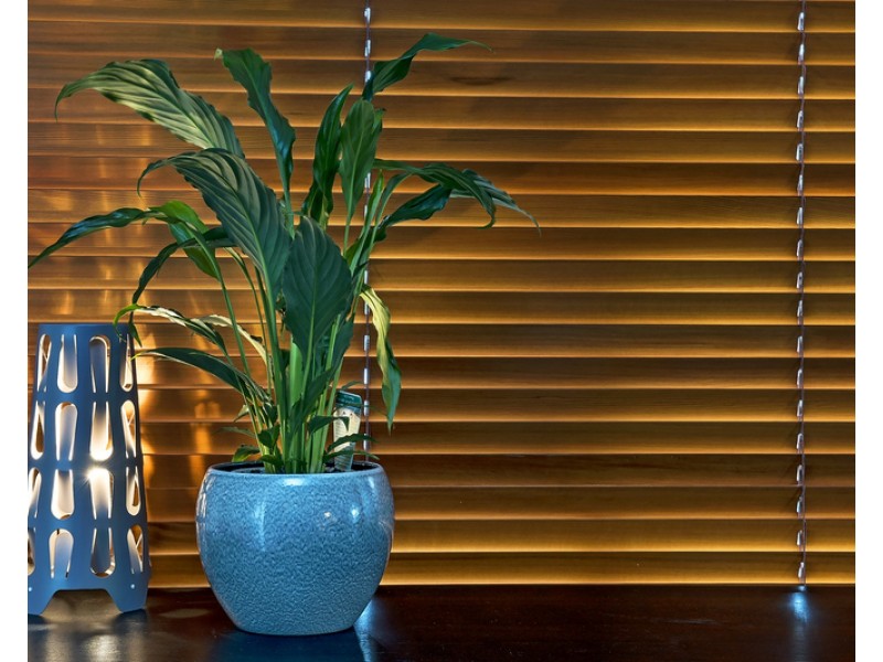 7/253 Concord Road, Concord West NSW 2138