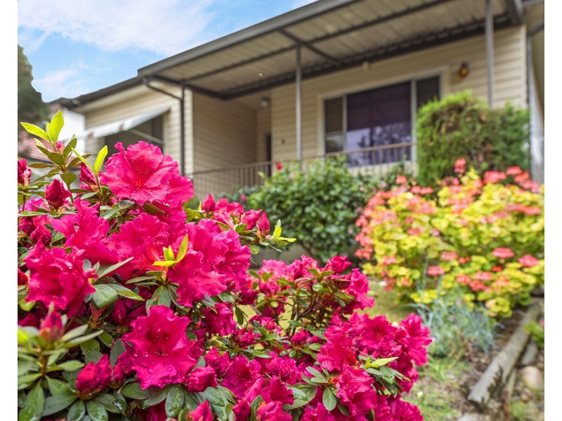 1 Rothwell Avenue, North Strathfield NSW 2137