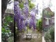 29 Archer Street, Concord NSW 2137