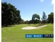 29 Archer Street, Concord NSW 2137