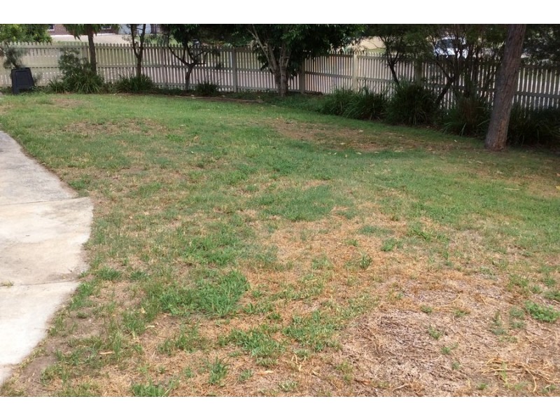 1 Silverdell Crescent, Parkinson QLD 4115