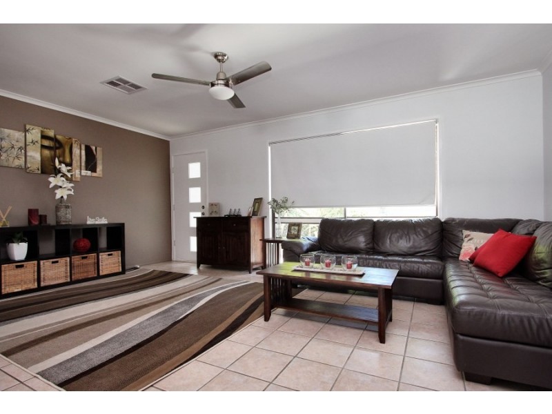 14 Macaranga Street, Algester QLD 4115