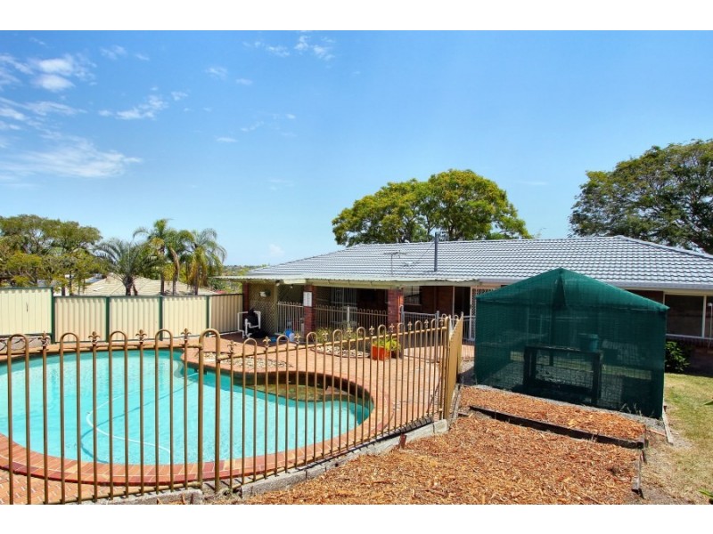 16 Bridelia Street, Algester QLD 4115