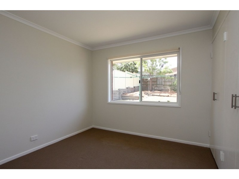 16 Bridelia Street, Algester QLD 4115