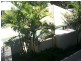Unit 11/111-113 Martyn Street, Cairns QLD 4870