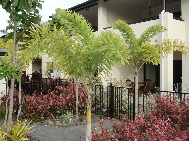 Unit 15/12 Oyster Court, Trinity Beach QLD 4879