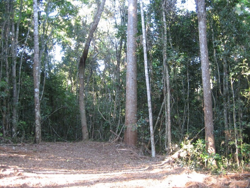 Lot 8, Douglas Track, Speewah QLD 4881