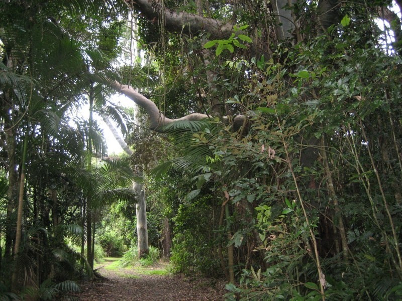 Lot 8, Douglas Track, Speewah QLD 4881