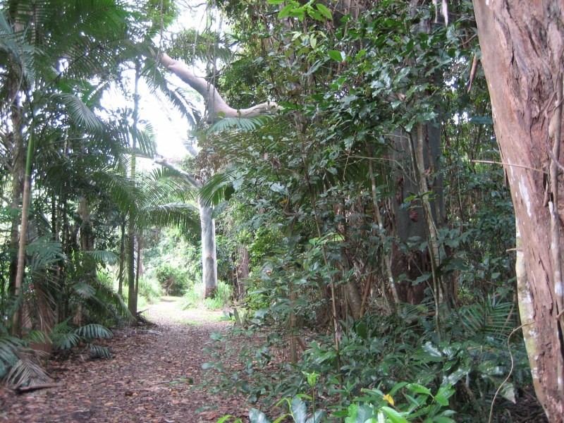 Lot 8, Douglas Track, Speewah QLD 4881