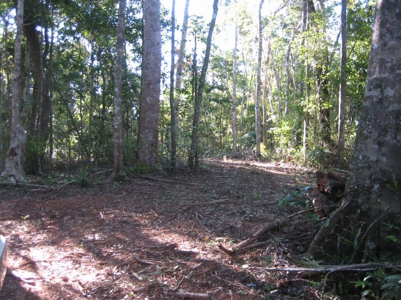 Lot 8, Douglas Track, Speewah QLD 4881