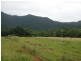 LOT 2 Cape Tribulation Road, Cape Tribulation QLD 4873